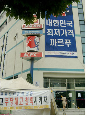 chl_02.jpg